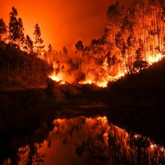 Asthma prod. Havens Beats x MaxoKoolin