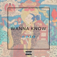 Lil Bird - Wanna Know