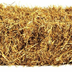 Architect - Miss May I (cover)