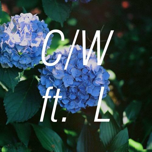 Mason - You Are Not Alone (Chris Waldt And Lyradi Remix)