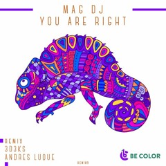 Mag DJ - You Are Right (Original Mix)