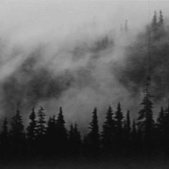 Burzum - Rundtgåing Av Den Transcendentale Egenhetens Støtte