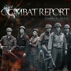 Combat Report - Pillbox (excerpt)