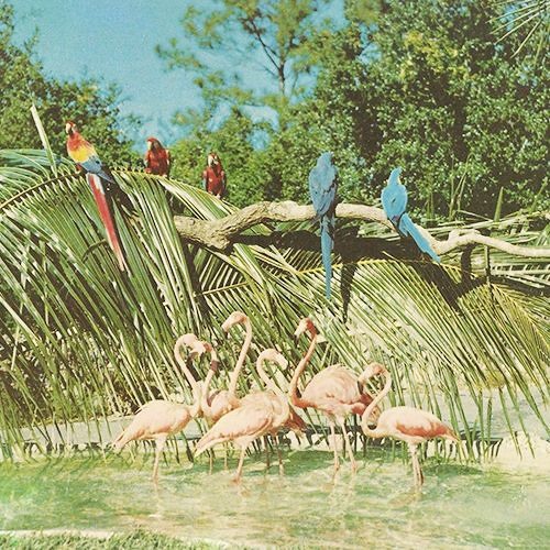 FSQ SELECTIONS_12 [WINTER 2017]