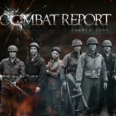 Combat Report - The Frenchman