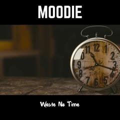 Moodie- Waste No Time