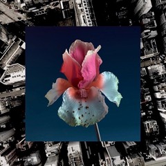 Flume - Dream 1.2.2 [2016 export wav] (AH ÇA IRA  edit)