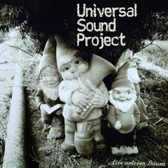 Universal Sound Project - Live unterm Baum