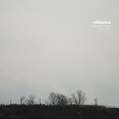 shinowa - Almost Certain