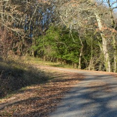 Last Leaves (1st recording)