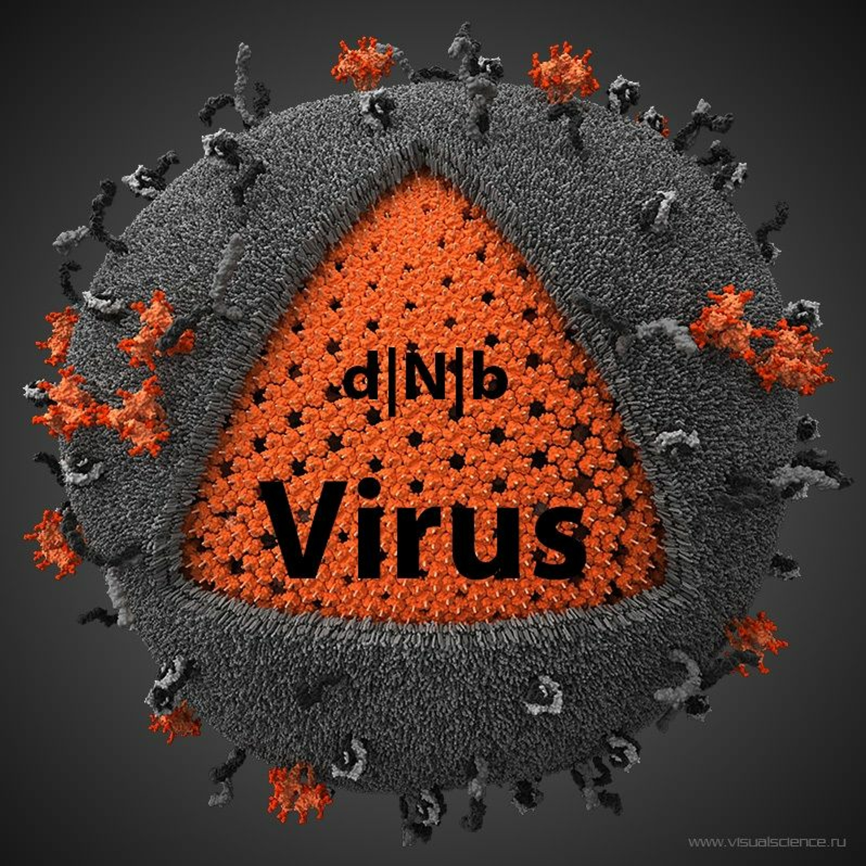 Virus episode artwork