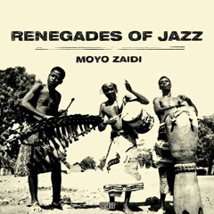 Renegades Of Jazz - Zebra Talk ft. Kabanjak (Tim Jules Remix)