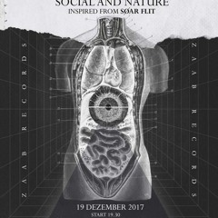 Soar Flit - ความทรงจำของต้นไม้