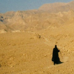 Laroz Camel Rider - Shauki (Shai T Remix - Preview)