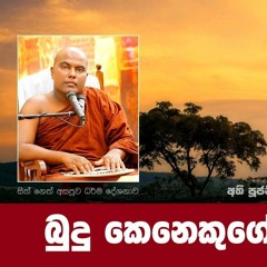 Budu Kenekuge Pahala Wima - (බුදු කෙනෙකුගේ පහල වීම) පුජ්‍ය ගලිගමුවේ ඥානදීප හිමි.