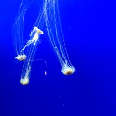 ЗАЕДНО СЪС ТЕБ.