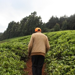 Kenya
