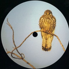 [Turmfalke003] Matthias Springer / Lars Leonhard - Turmfalke Episode Three (limited Vinyl)