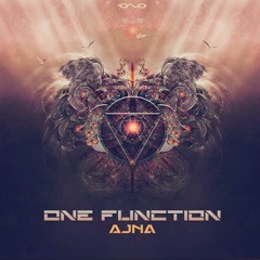 One Function - Yong Man On Acid (Spectro Senses Remix) [Iono Music]