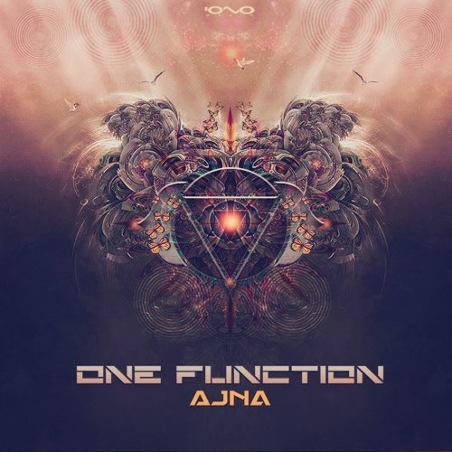 One Function - Yong Man On Acid (Spectro Senses Remix) [Iono Music]
