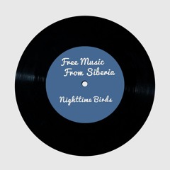 Nighttime Birds (jazz electronic soundtrack ambient atmospheric piano)
