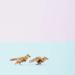 Não importa onde for, eu vou lhe seguir