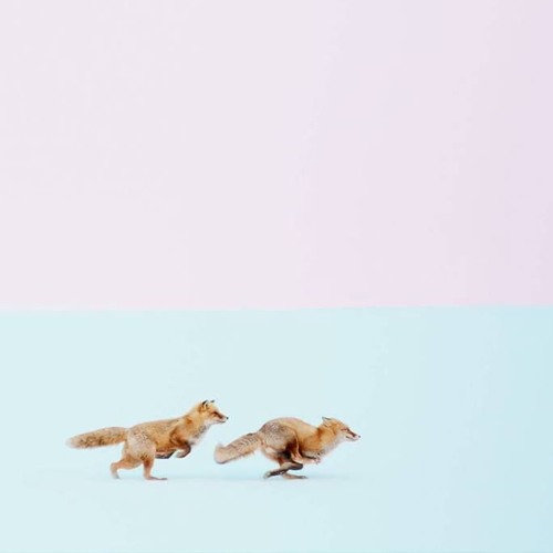 Não importa onde for, eu vou lhe seguir