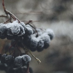 Sundays Finest - 5