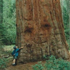 <title>"metaboy:endcredit"</title>