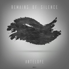 Premiere: Remains Of Silence - Anthemis [Mr. Moutarde Records]