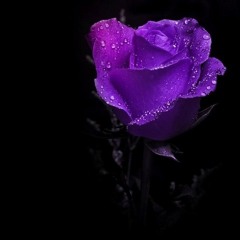 Tranche - Purple Flowers