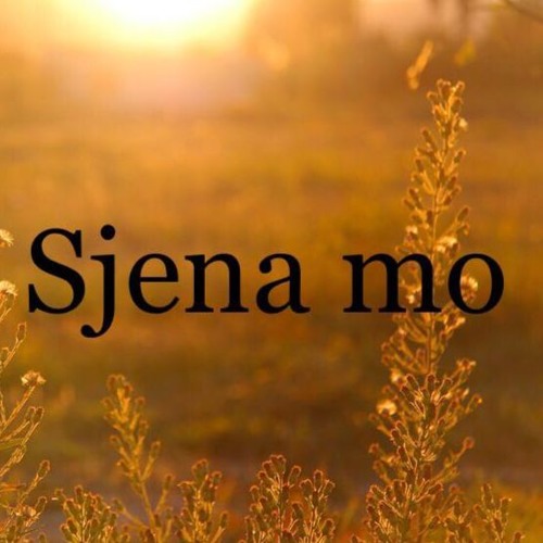 Majk - Sjena Mo (Bootleg Private)