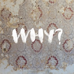 WHY? - Moh Lhean Expanded