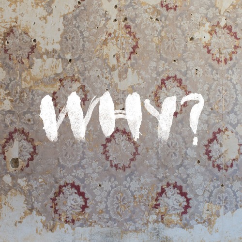 WHY? - Moh Lhean Expanded