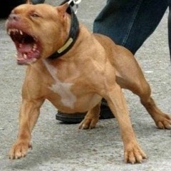 GOING HELL (PROD.STEALTHMOBBMUNEY)