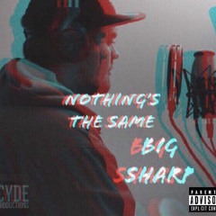 Big Sharp - Nothing's The Same