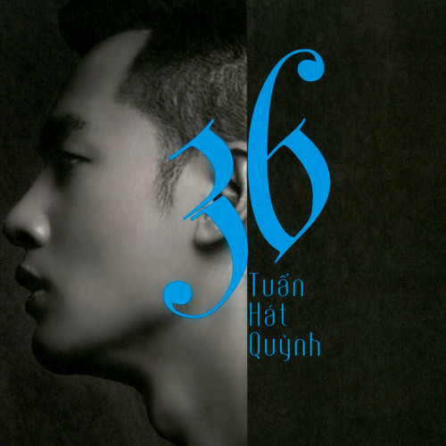 Hoa Hồng Vàng - Đức Tuấn