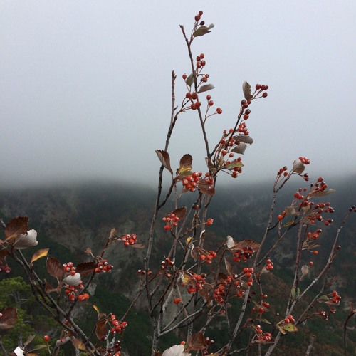 Warmly