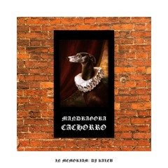 Mandragora - Cachorro (Atmosphere 2017 Live Mix)