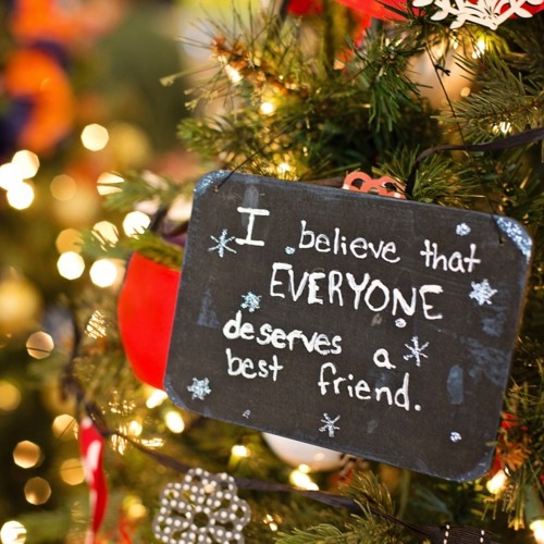 Stream John Valby's Suck On My Cock (Jingle Bell Rock Parody) Cover