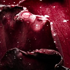 Softer Side Of Things