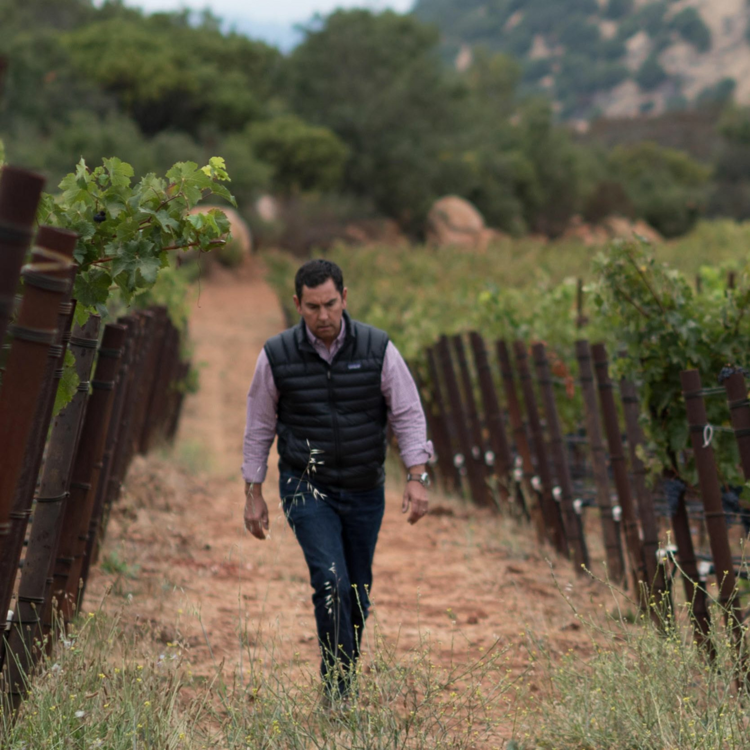 Wine Podcast: The Honest Pour with John Lenart