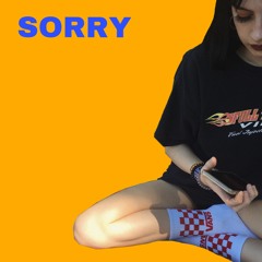 SORRY- HALSEY (COVER)
