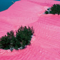 Mythological Beauty - Big Thief (cover)