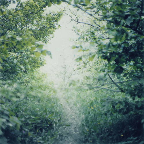 Tender, Curious (Epilogue)