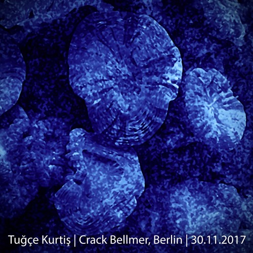Tuğçe Kurtiş @ Crack Bellmer, Berlin