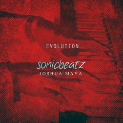 sonicbeatz - Evolution