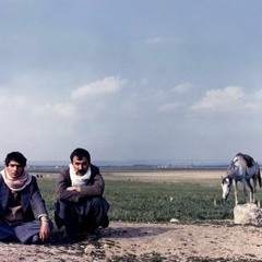 Kutup Yıldızı - Brindarım .. Bîranin