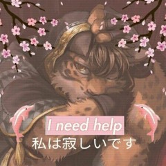 Ｊｅｇ　ｖｉｌ　ｖｉｒｋｅｌｉｇ　ｄø