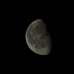 Rob Hammacot - Sittin on the Dock - Otis Reading